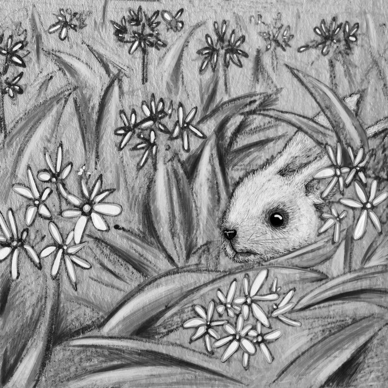 Thumper- Journey to Animal Haven - Image 4