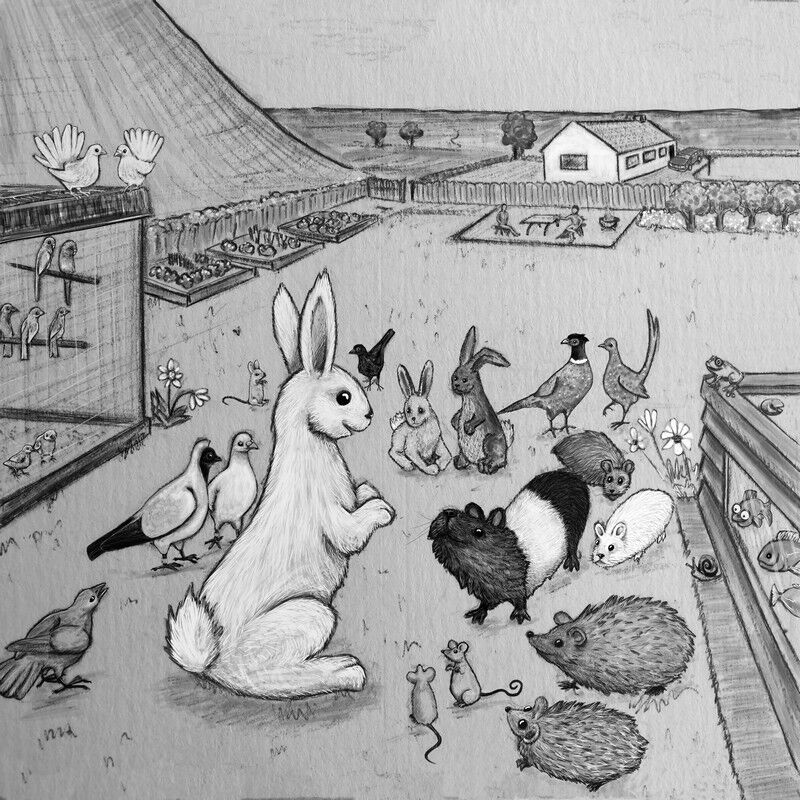 Thumper- Journey to Animal Haven - Image 2